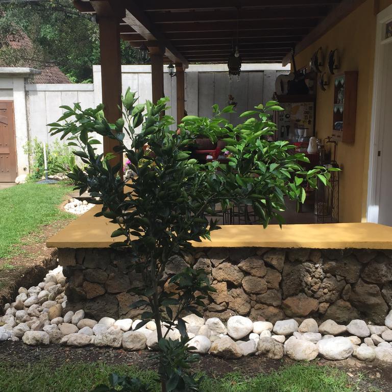 Bed and Breakfast Airport Rio Segundo Studio Alajuela Exterior foto