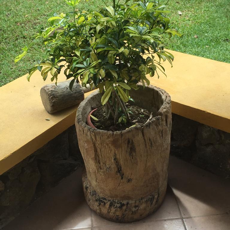 Bed and Breakfast Airport Rio Segundo Studio Alajuela Exterior foto